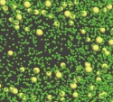 Large particle simulation